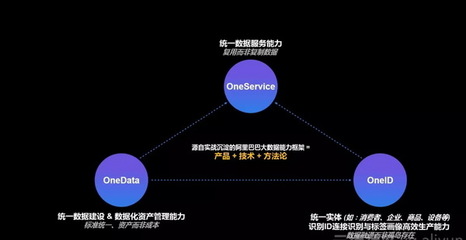 阿里數據科學家一次講透數據中臺與大數據服務